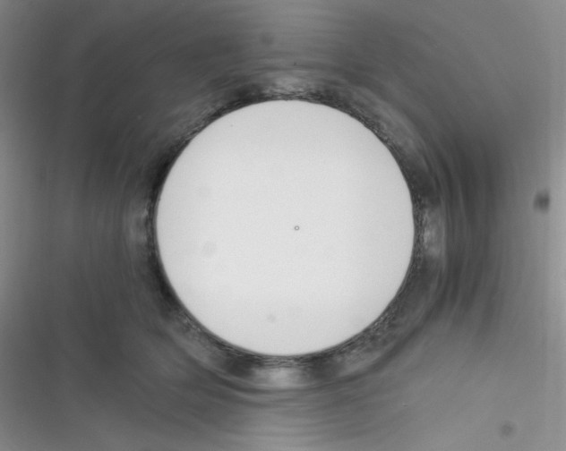 X0000116390514201001131832