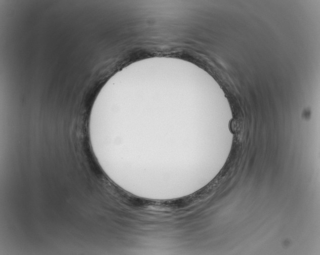 X0000116390515201001131832