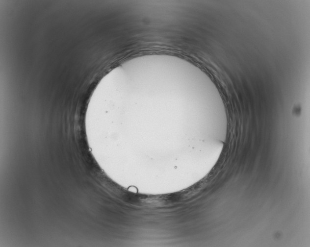 X0000116390516201001131832