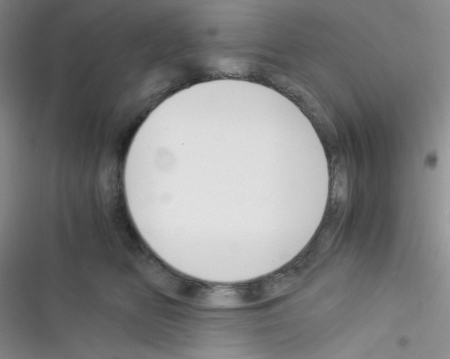 X0000116390518201001131832