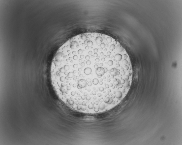 X0000116390519201001131832