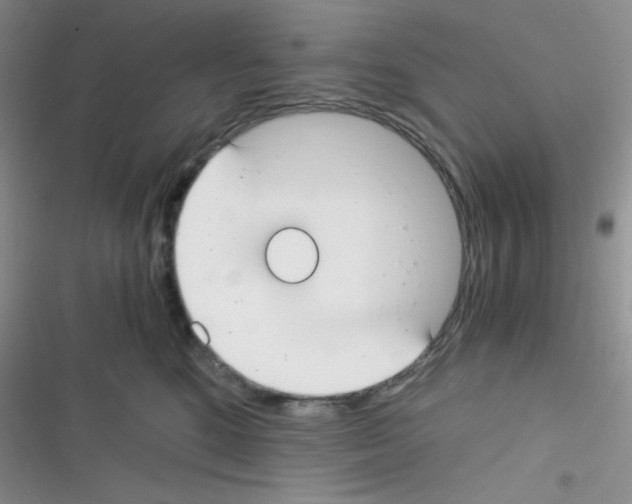 X0000116390520201001131832