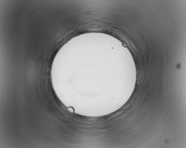 X0000116390521201001131832