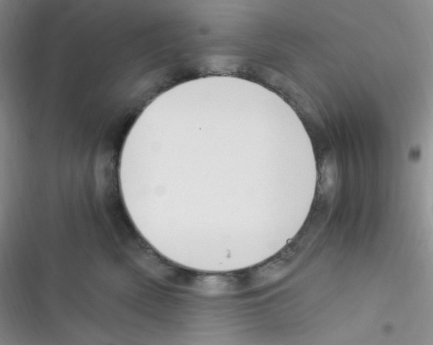 X0000116390522201001131832