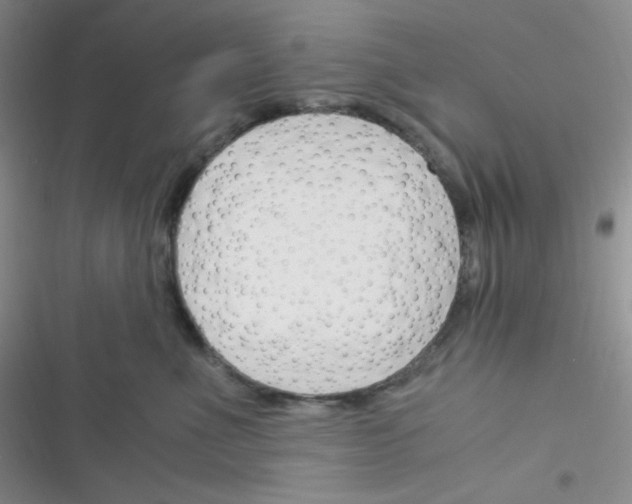 X0000116390523201001131832