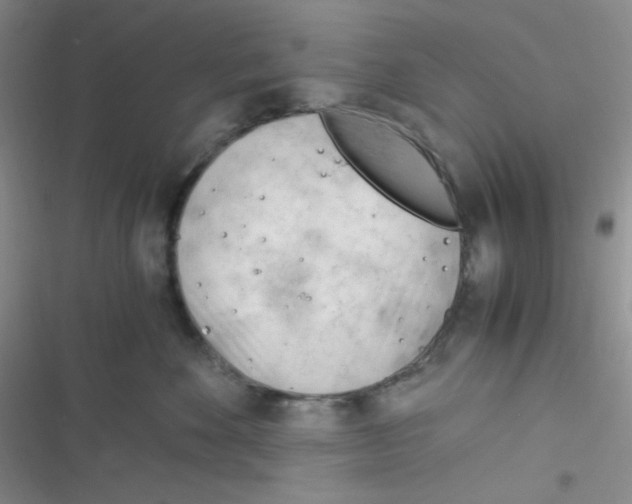 X0000116390524201001131832
