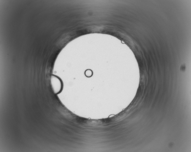 X0000116390525201001131832
