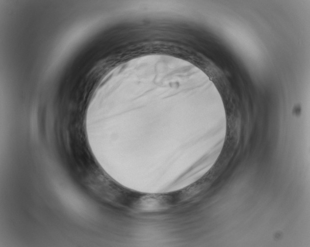 X0000116390526201001131832