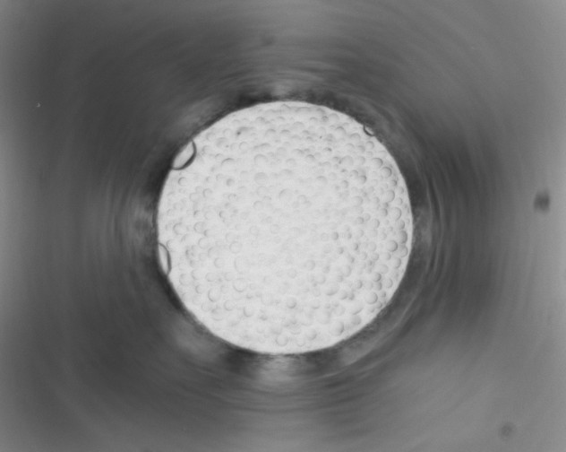 X0000116390527201001131832