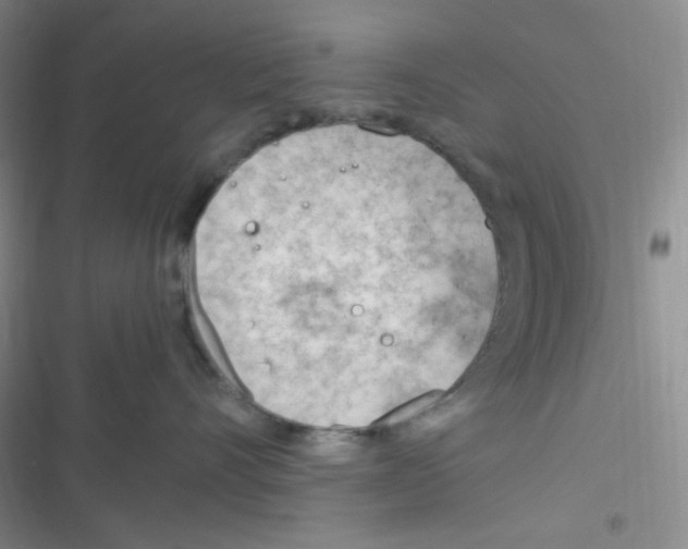 X0000116390528201001131832