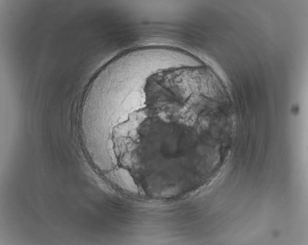 X0000116390529201001131832