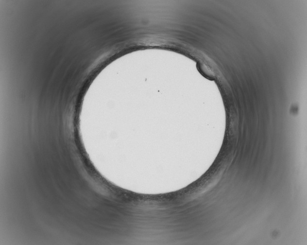 X0000116390530201001131832