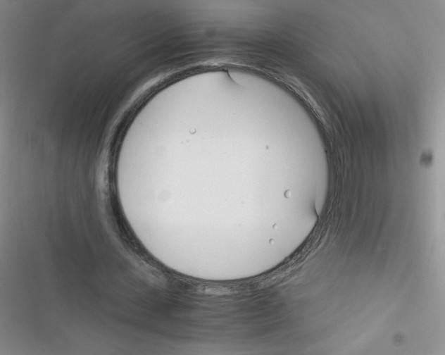 X0000116390531201001131832