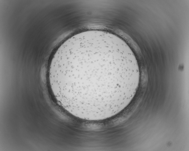 X0000116390533201001131832