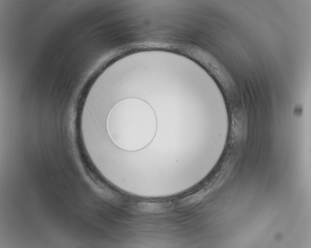 X0000116390534201001131832