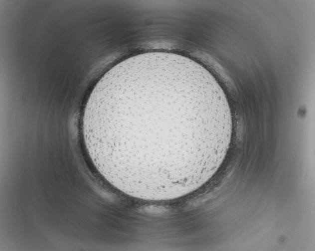 X0000116390537201001131832