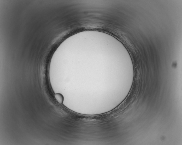 X0000116390539201001131832