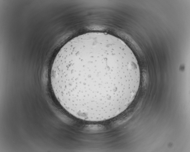 X0000116390541201001131832