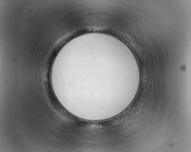 X0000116390543201001131832