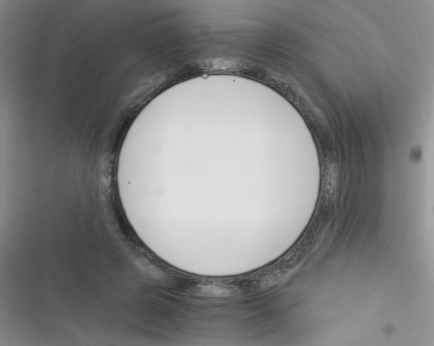 X0000116390545201001131832