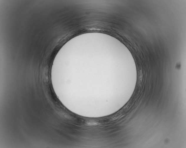 X0000116390547201001131832