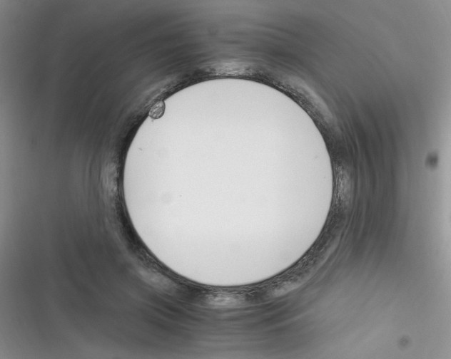 X0000116390549201001131832