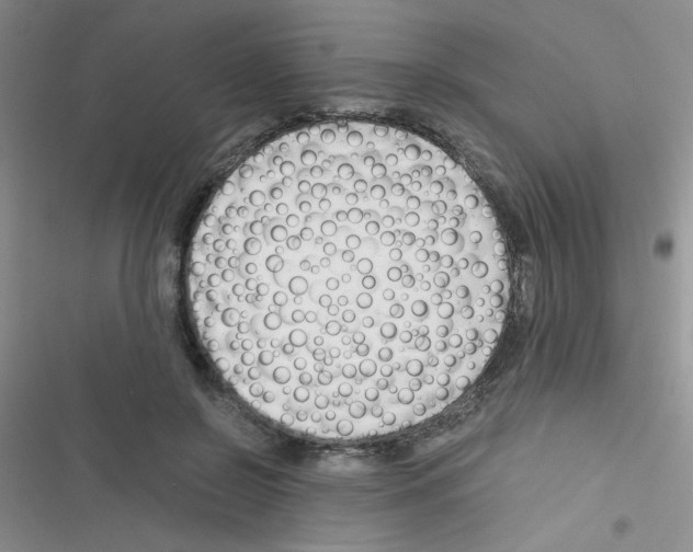 X0000116390550201001131832