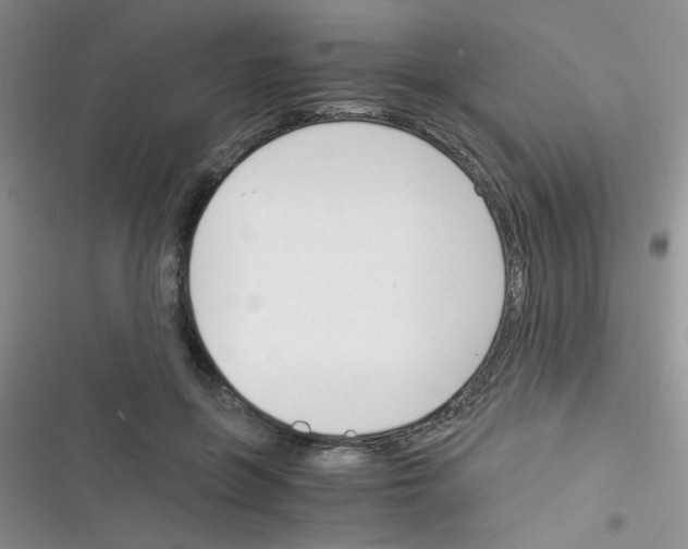 X0000116390551201001131832