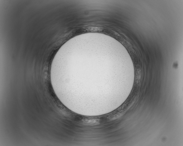 X0000116390553201001131832