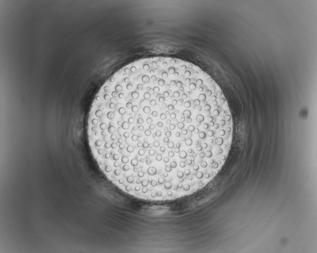 X0000116390554201001131832