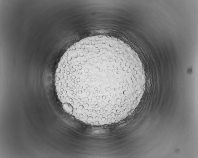 X0000116390555201001131832