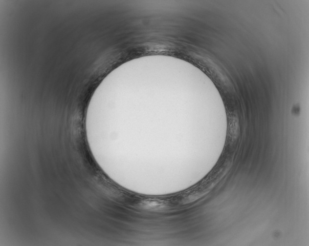 X0000116390557201001131832