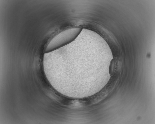 X0000116390558201001131832