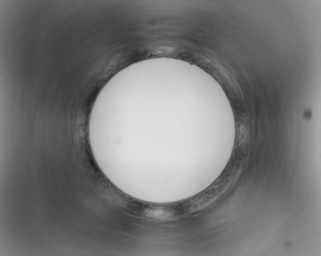 X0000116390561201001131832