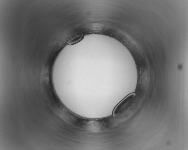 X0000116390562201001131832