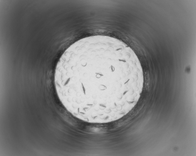 X0000116390563201001131832