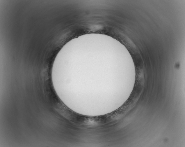 X0000116390565201001131832