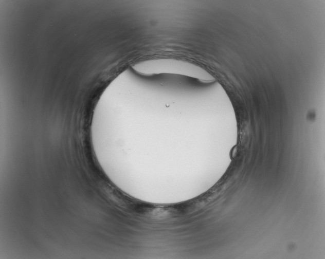 X0000116390566201001131832