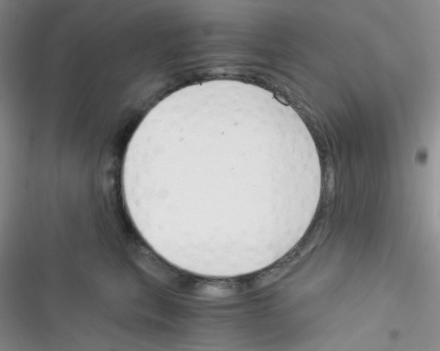 X0000116390567201001131832