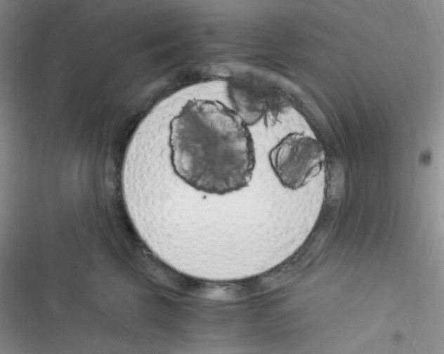 X0000116390569201001131832