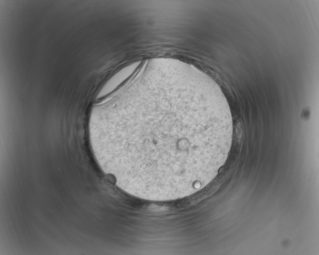 X0000116390570201001131832