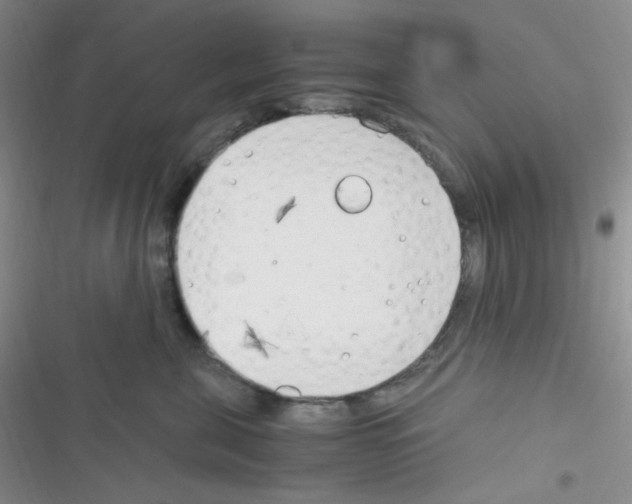 X0000116390571201001131832