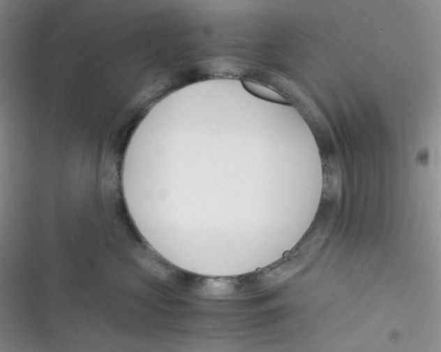 X0000116390573201001131832