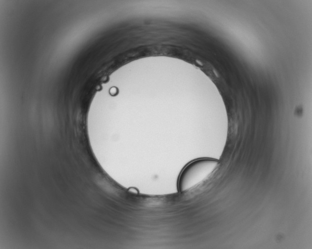 X0000116390574201001131832
