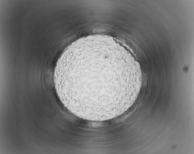X0000116390575201001131832