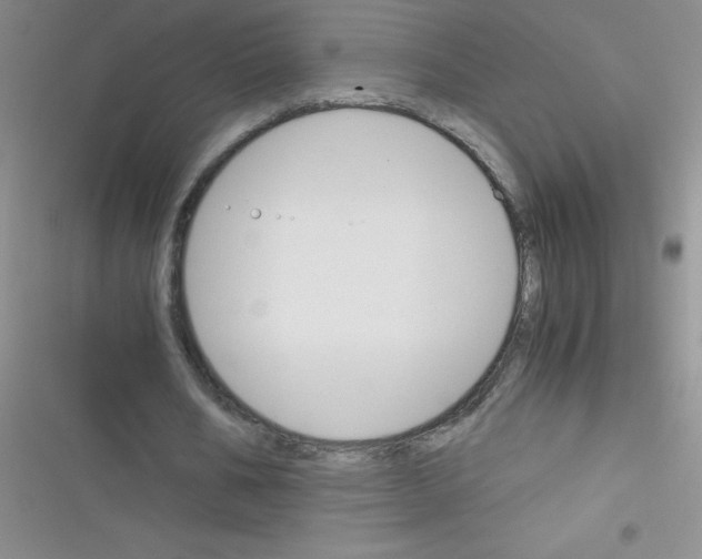 X0000116390578201001131832