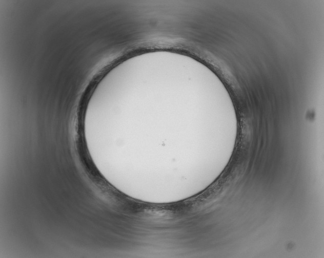 X0000116390582201001131832