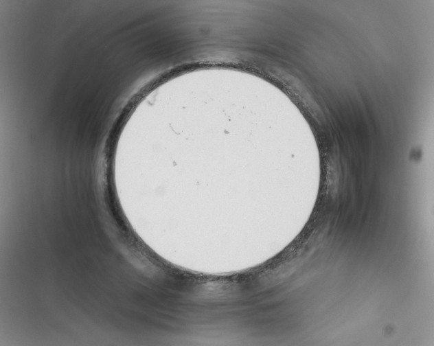 X0000116390584201001131832