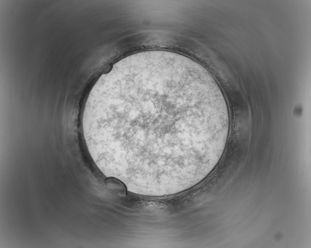 X0000116390585201001131831