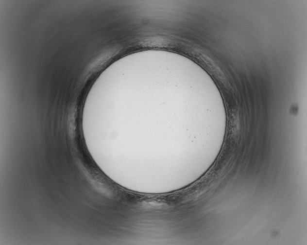 X0000116390586201001131831